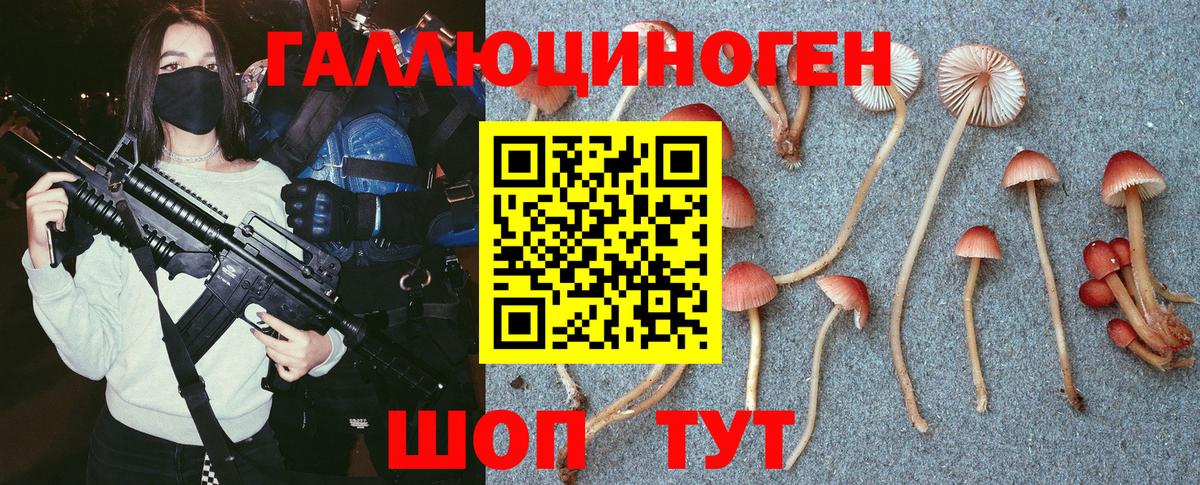 Галлюциногенные грибы мицелий Абинск
